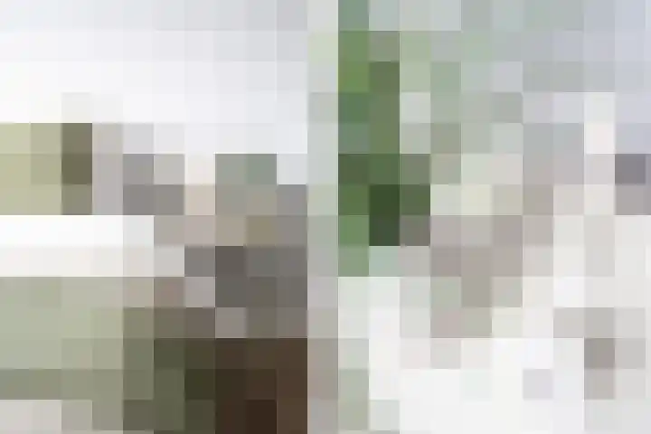 Duitslandlaan 488 Zoetermeer thumbnail 24