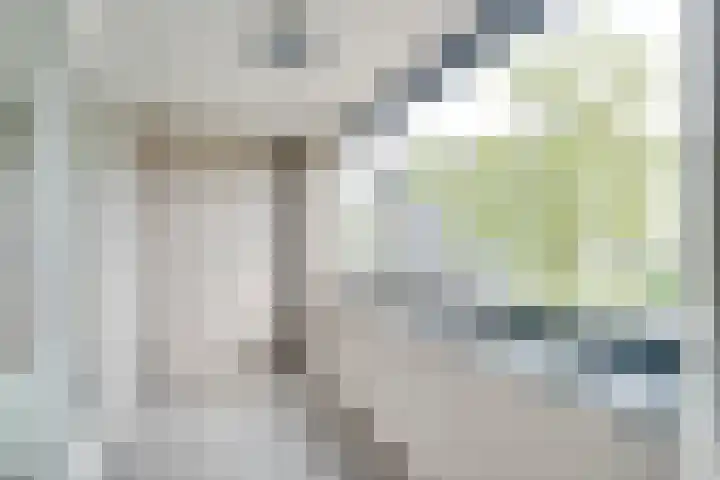 Duitslandlaan 494 Zoetermeer thumbnail 19