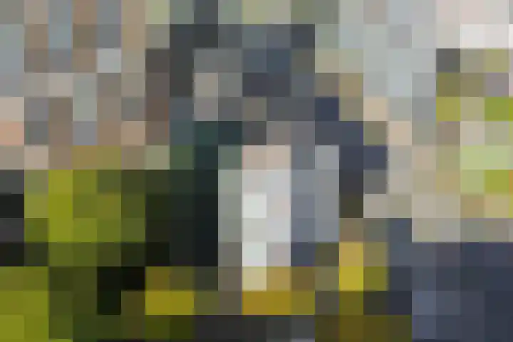 Duitslandlaan 494 Zoetermeer thumbnail 33