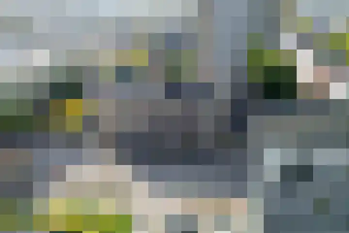 Duitslandlaan 494 Zoetermeer thumbnail 34