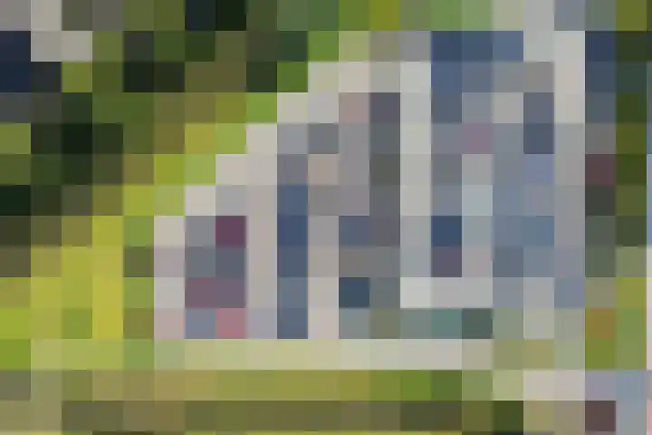 Duitslandlaan 494 Zoetermeer thumbnail 35