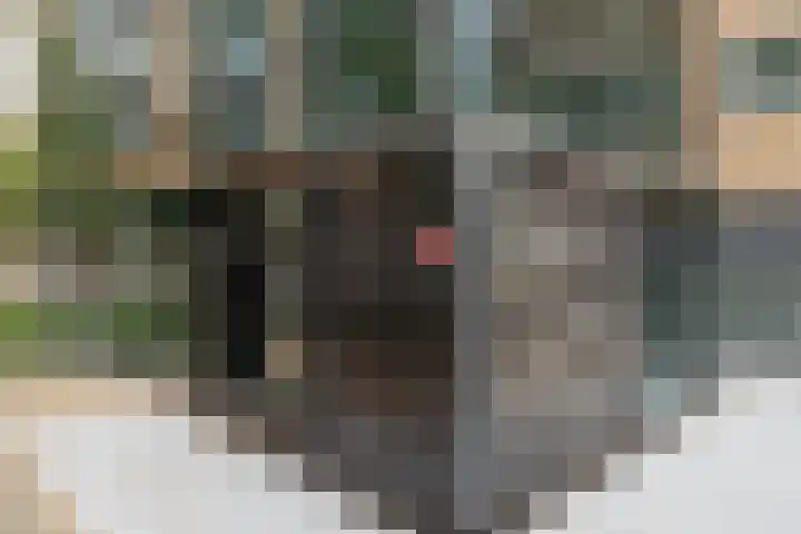 Duitslandlaan 494 Zoetermeer thumbnail 7