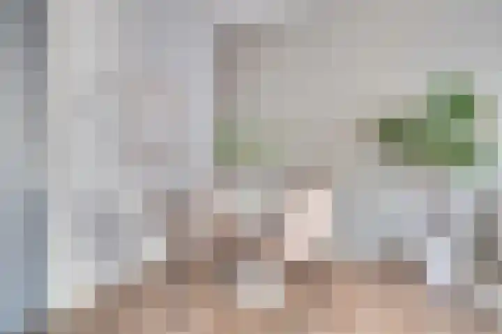 Duitslandlaan 510 Zoetermeer thumbnail 11