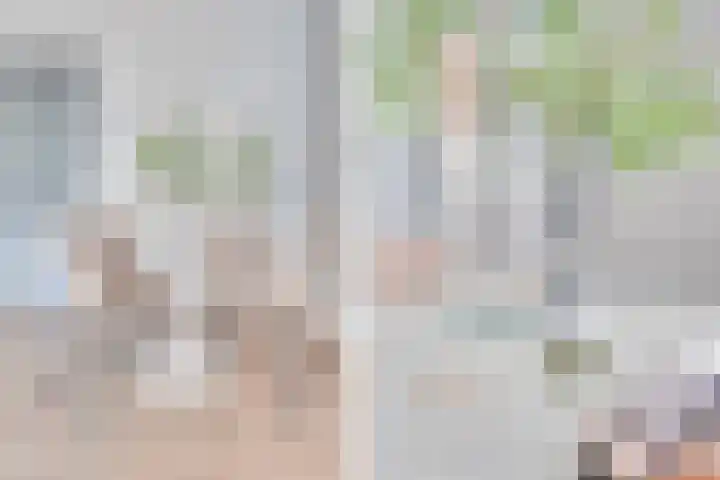 Duitslandlaan 510 Zoetermeer thumbnail 12