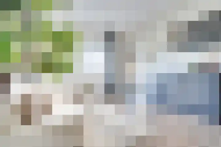 Duitslandlaan 510 Zoetermeer thumbnail 20
