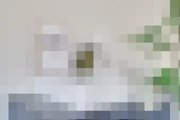 Duitslandlaan 510 Zoetermeer thumbnail 31