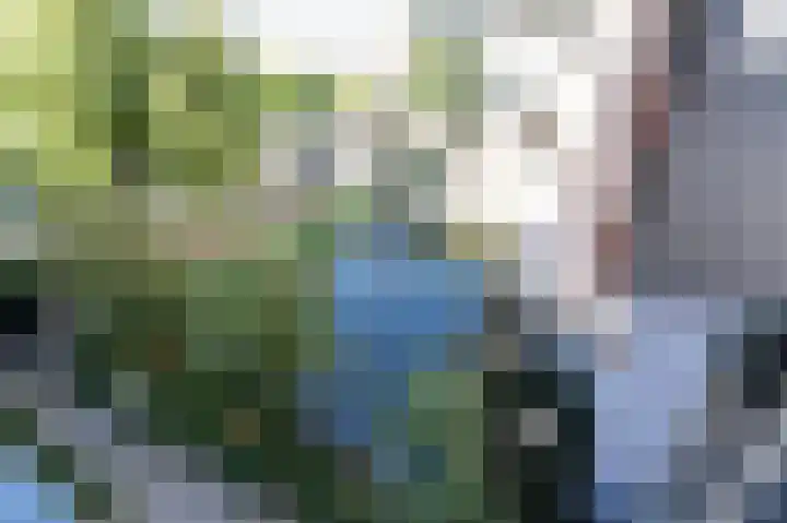 Duitslandlaan 510 Zoetermeer thumbnail 32