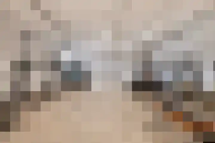 Duitslandlaan 510 Zoetermeer thumbnail 33