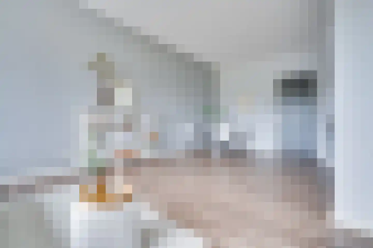 Duitslandlaan 516 Zoetermeer thumbnail 28