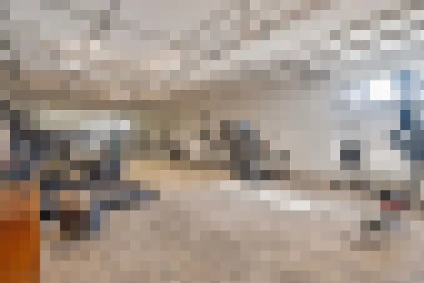 Duitslandlaan 516 Zoetermeer thumbnail 30