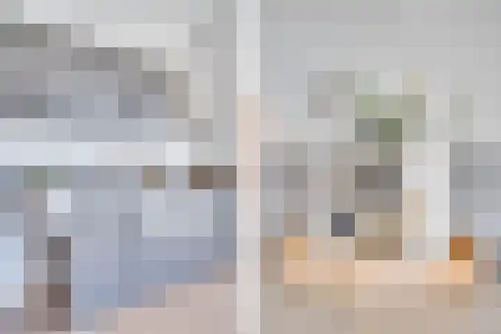 Duitslandlaan 520 Zoetermeer thumbnail 20
