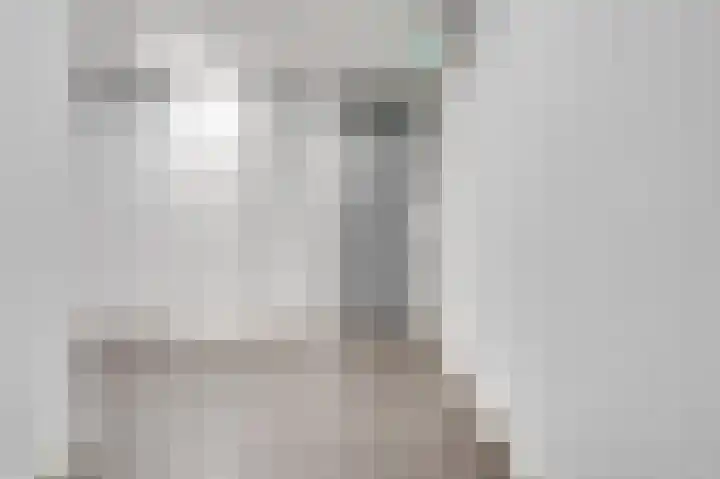Duitslandlaan 520 Zoetermeer thumbnail 8