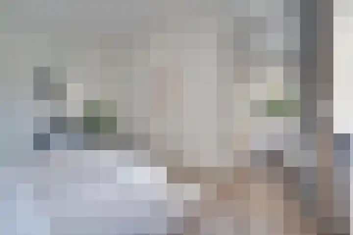 Duitslandlaan 524 Zoetermeer thumbnail 19