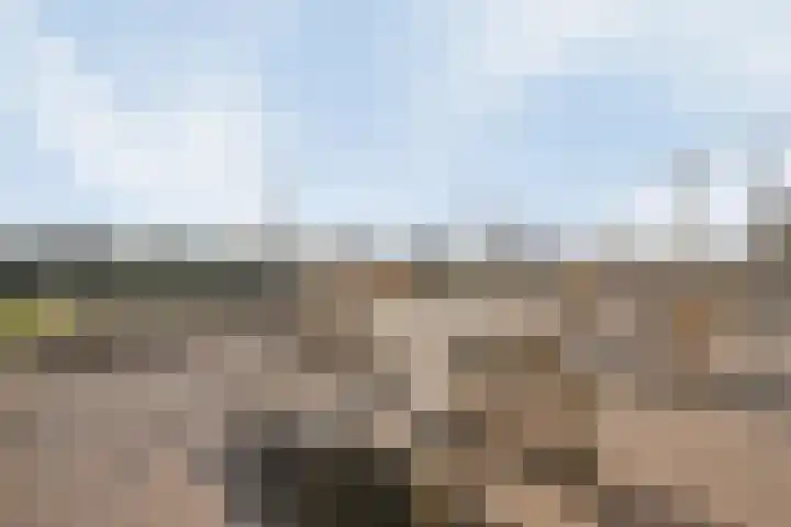 Duitslandlaan 524 Zoetermeer thumbnail 36