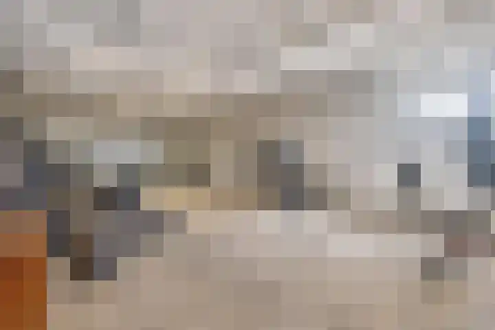 Duitslandlaan 524 Zoetermeer thumbnail 37