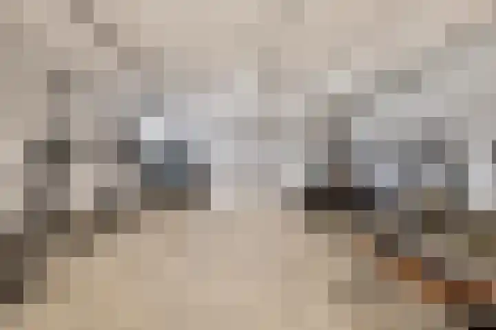 Duitslandlaan 524 Zoetermeer thumbnail 38
