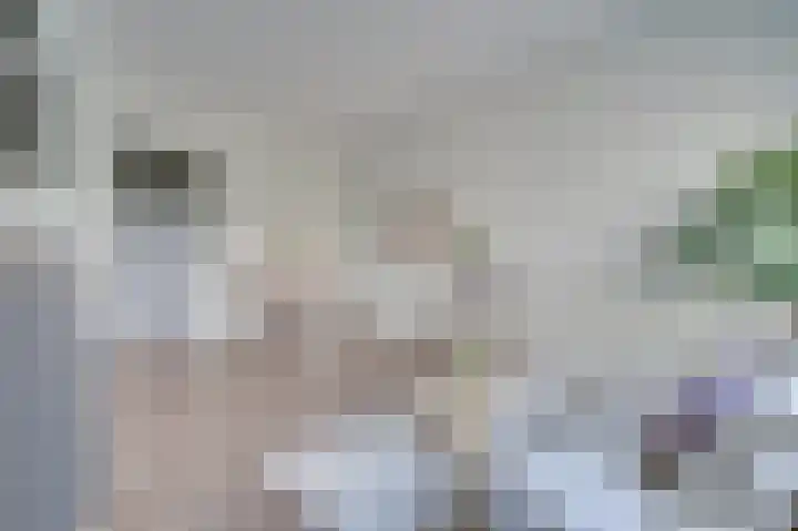 Duitslandlaan 524 Zoetermeer thumbnail 8