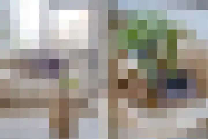 Duitslandlaan 524 Zoetermeer thumbnail 9