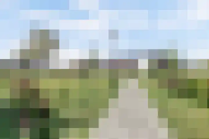 Duitslandlaan 53 De Lier thumbnail 29