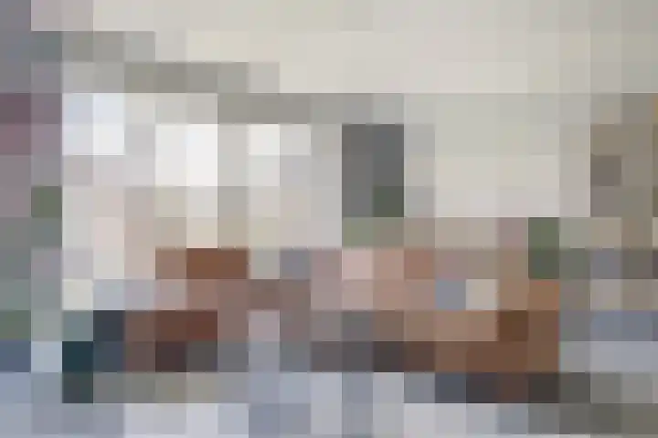 Duitslandlaan 53 De Lier thumbnail 4