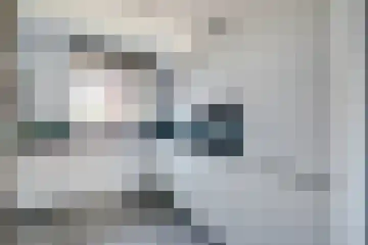 Duitslandlaan 53 De Lier thumbnail 5
