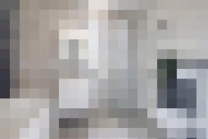 Duitslandlaan 53 De Lier thumbnail 6