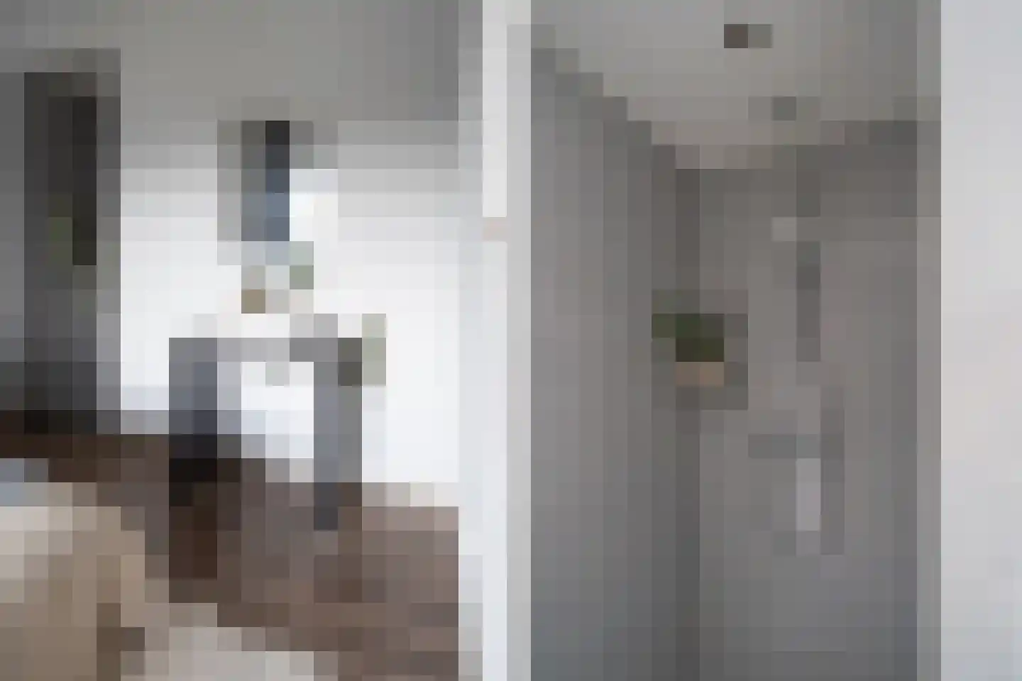 Duitslandlaan 532 Zoetermeer thumbnail 20