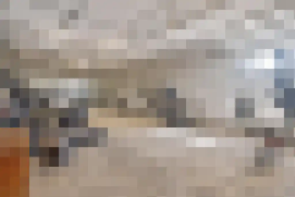 Duitslandlaan 532 Zoetermeer thumbnail 32