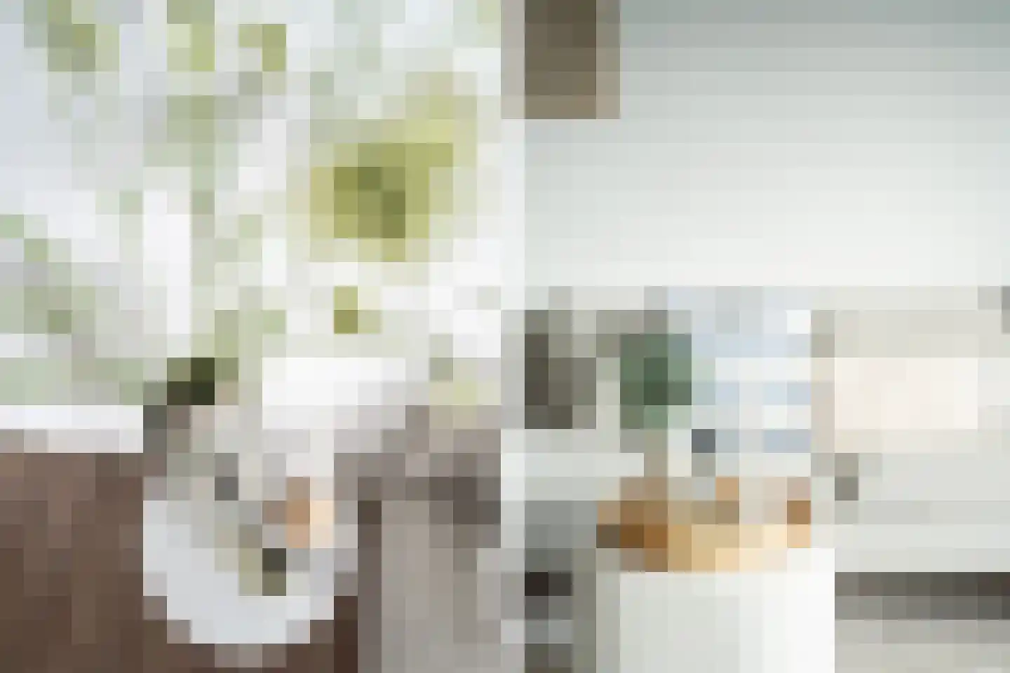 Duitslandlaan 532 Zoetermeer thumbnail 6