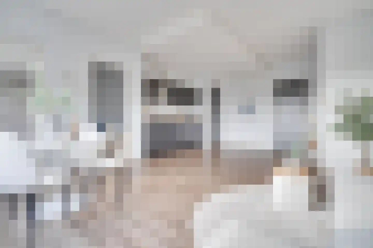 Duitslandlaan 532 Zoetermeer thumbnail 7