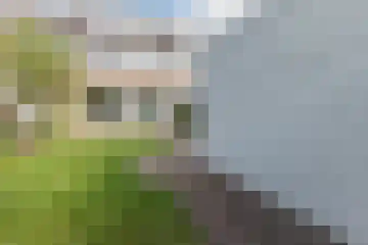 Duitslandlaan 54 Haarlem thumbnail 10