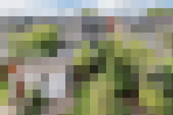 Duitslandlaan 54 Haarlem thumbnail 37