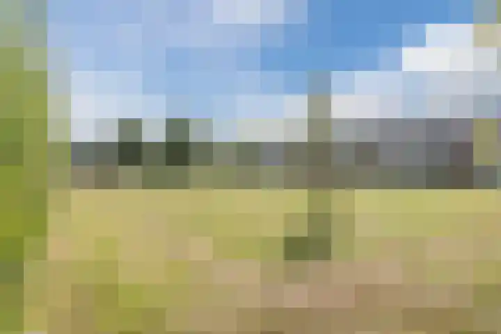 Duitslandlaan 54 Haarlem thumbnail 42