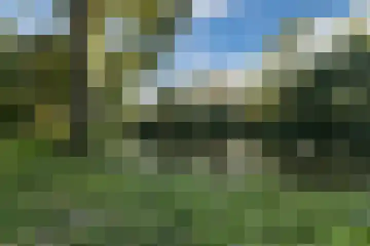 Duitslandlaan 54 Haarlem thumbnail 47