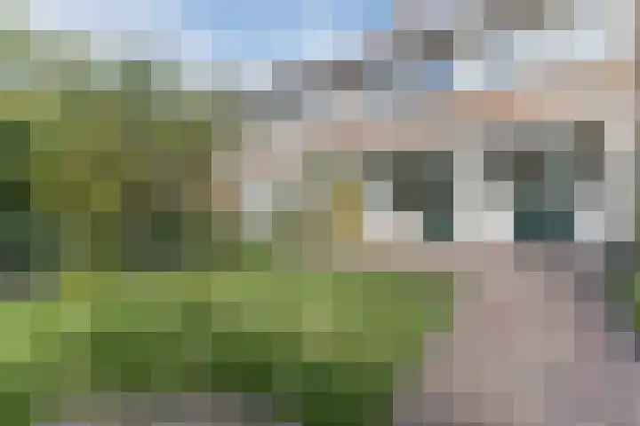 Duitslandlaan 54 Haarlem thumbnail 9