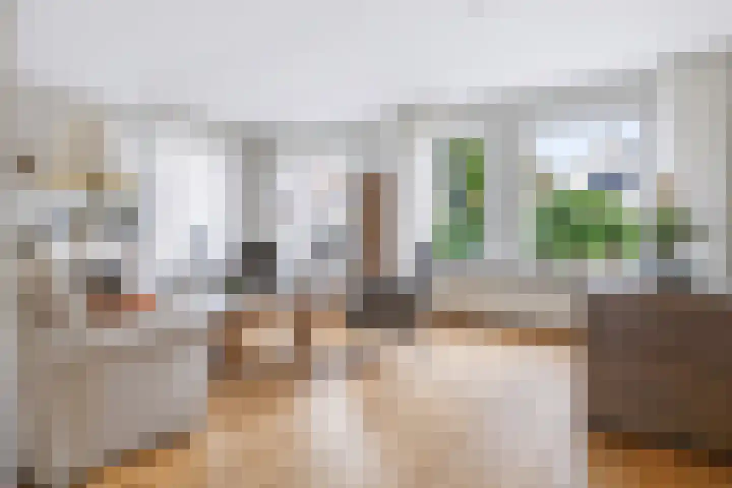 Duitslandlaan 54 Schoonebeek thumbnail 20