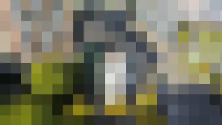 Duitslandlaan 542 Zoetermeer thumbnail 30