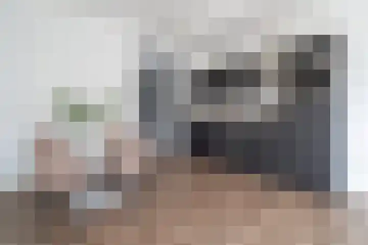 Duitslandlaan 542 Zoetermeer thumbnail 9