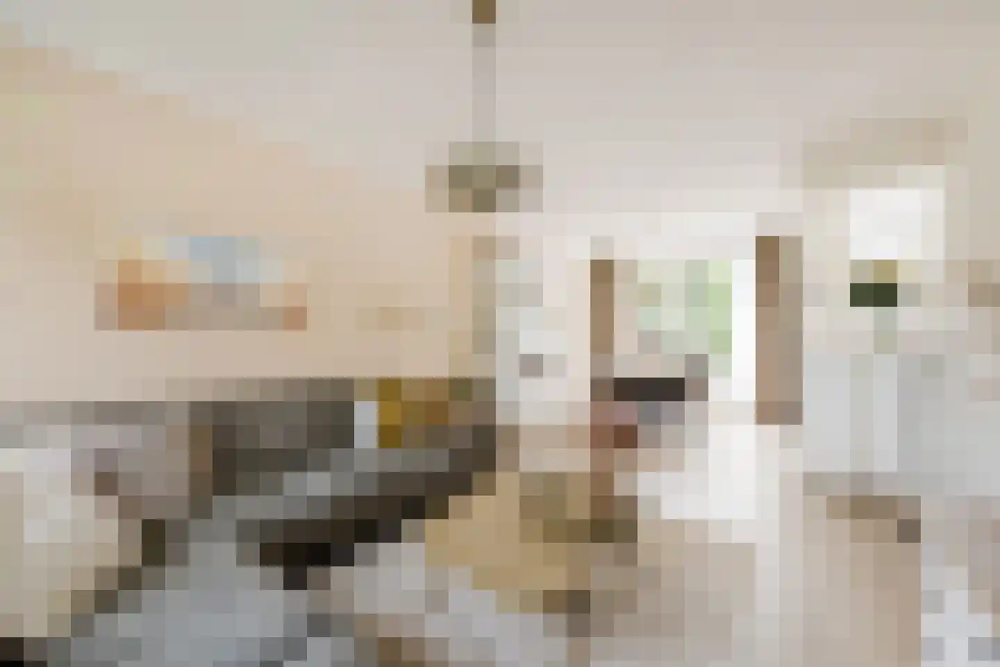 Duitslandlaan 72 Haarlem thumbnail 4