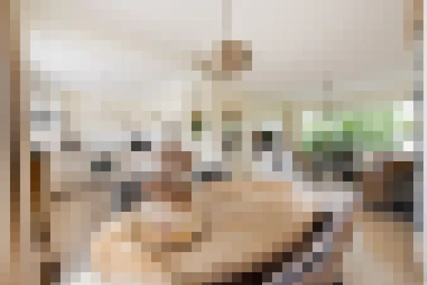 Duitslandlaan 72 Haarlem thumbnail 7
