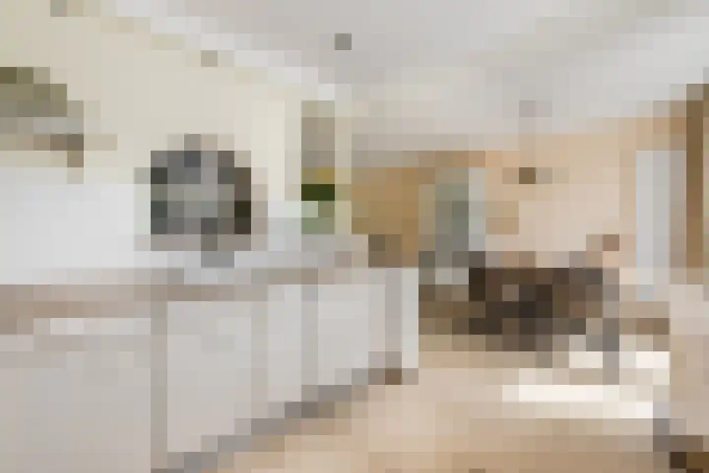Duitslandlaan 72 Haarlem thumbnail 9