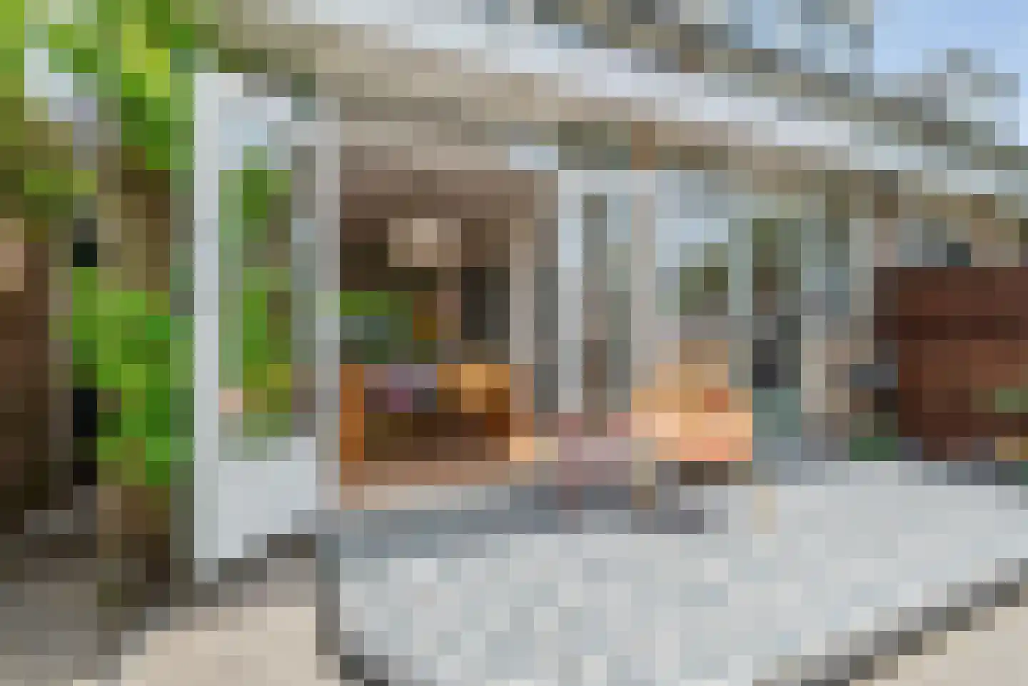 Duitslandlaan 78 Haarlem thumbnail 17