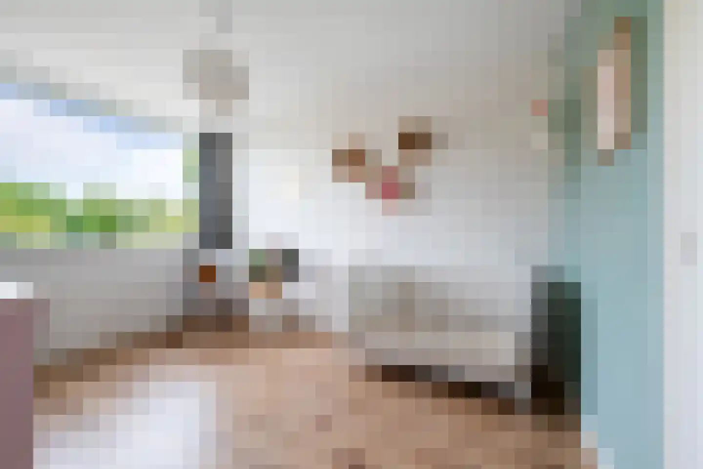 Duitslandlaan 78 Haarlem thumbnail 27