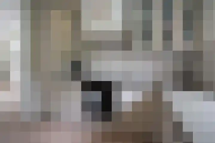 Duitslandlaan 92 Heemskerk thumbnail 10