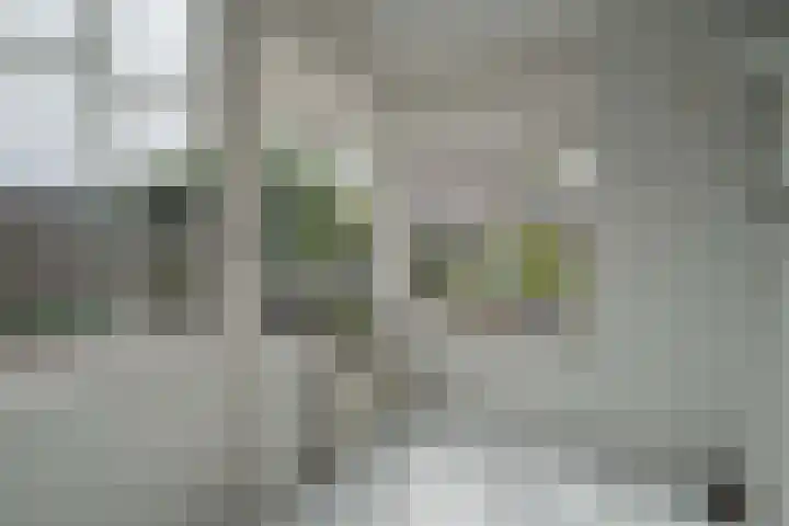 Duitslandlaan 92 Heemskerk thumbnail 11