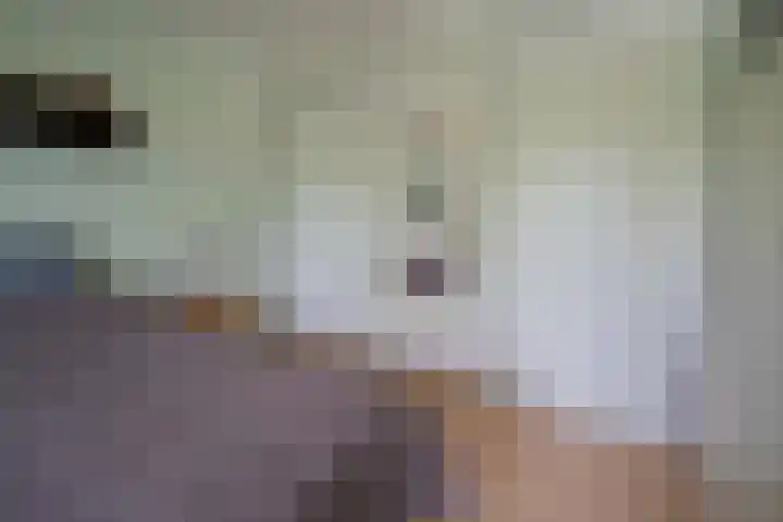 Duitslandlaan 92 Heemskerk thumbnail 18
