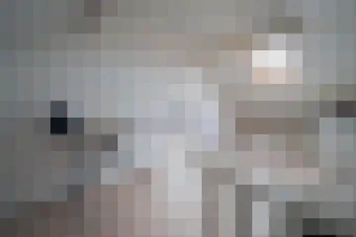 Duitslandlaan 92 Heemskerk thumbnail 27