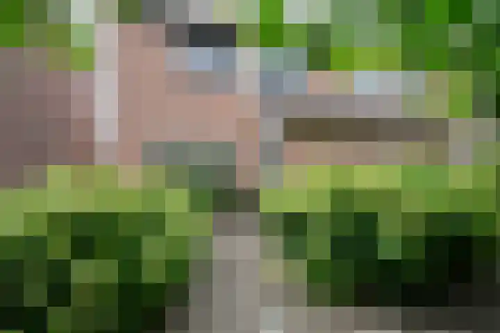 Duitslandlaan 92 Heemskerk thumbnail 36