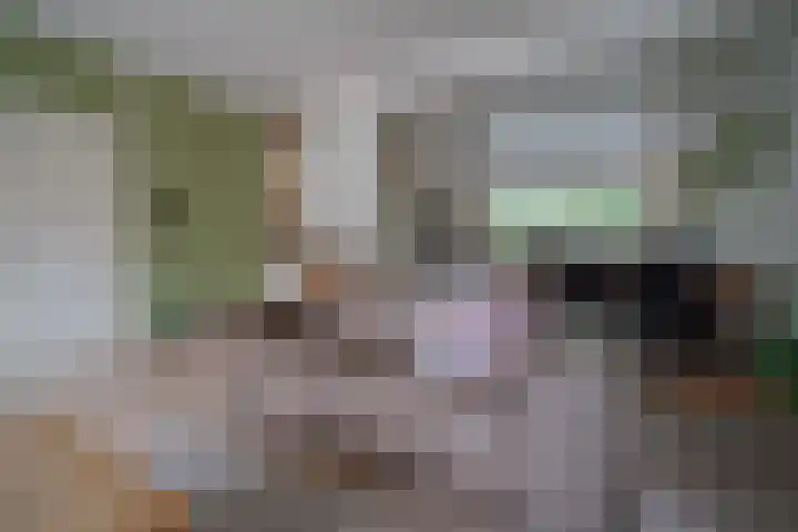 Duitslandlaan 92 Heemskerk thumbnail 5
