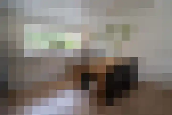 Duitslandlaan 92 Heemskerk thumbnail 7